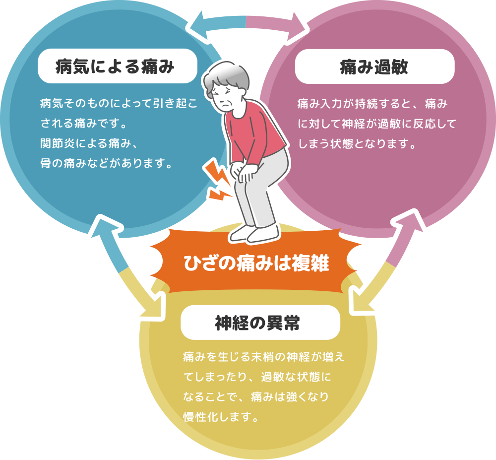 病気による痛み、痛み過敏、神経の損傷など、ひさの痛みは複雑